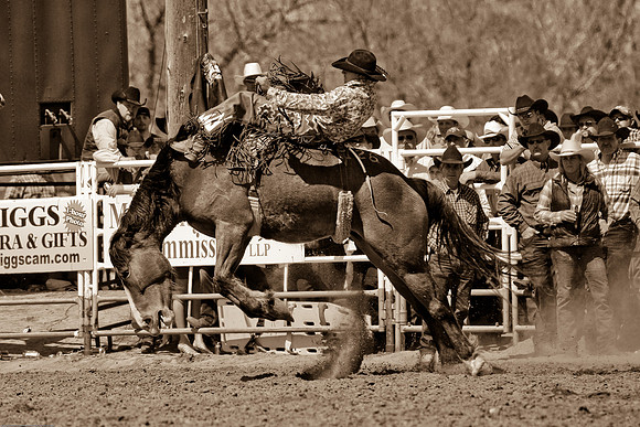 miles_city-2229-291