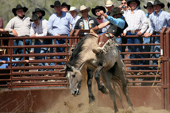 miles_city-2362-341