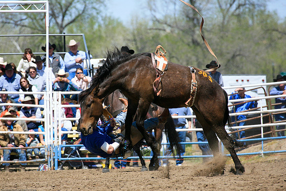 Miles City-978-17