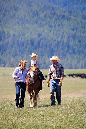 calf_branding_693