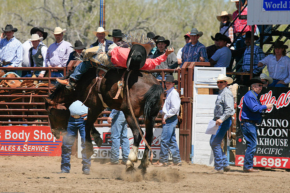 miles_city-1070-83