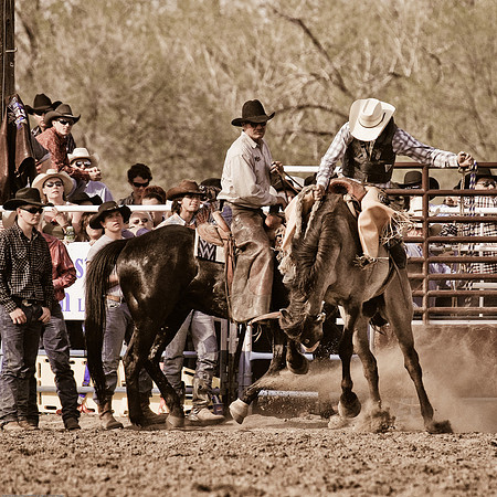 miles_city-1253-564