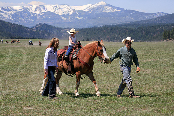 calf_branding_669