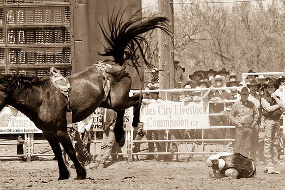 miles_city-1905-174