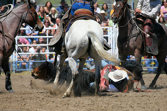 miles_city-1010-45