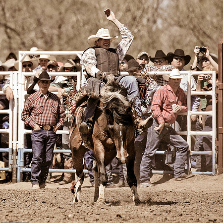 miles_city-2204-274