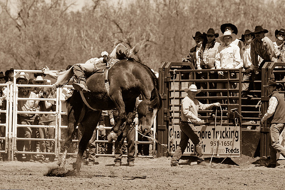 miles_city-1060-73