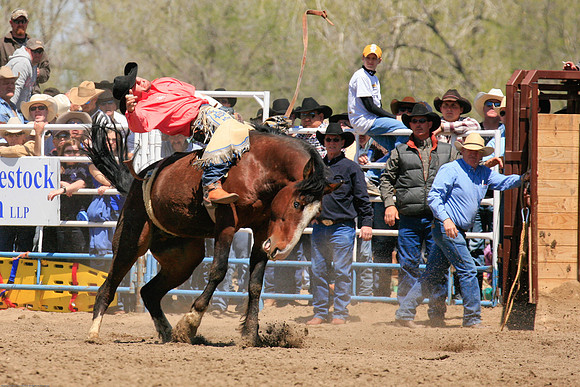 miles_city-1059-72
