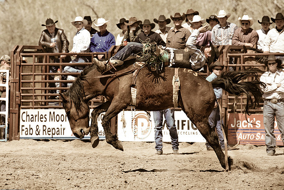 miles_city-2314-324
