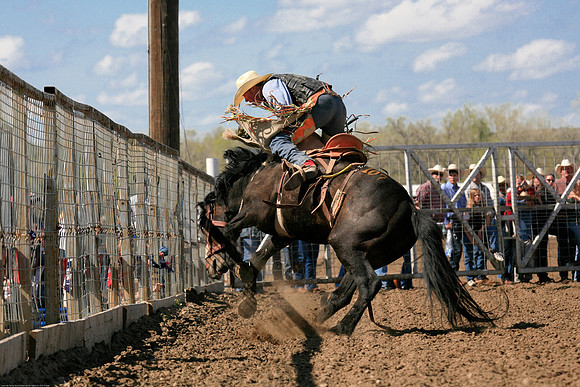 miles_city-2456-387
