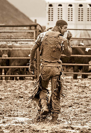 cowboy,montana