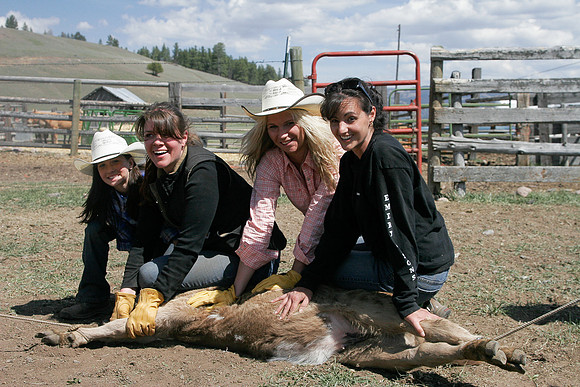 calf_branding_2_707