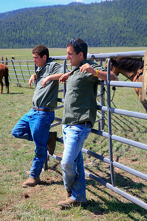 calf_branding_605