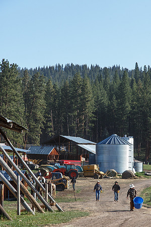 JDSA-2015-05-09-7295-39
