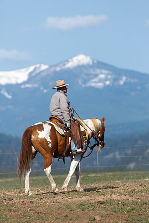 Greenough, MT branding2015-05-09-7360-79