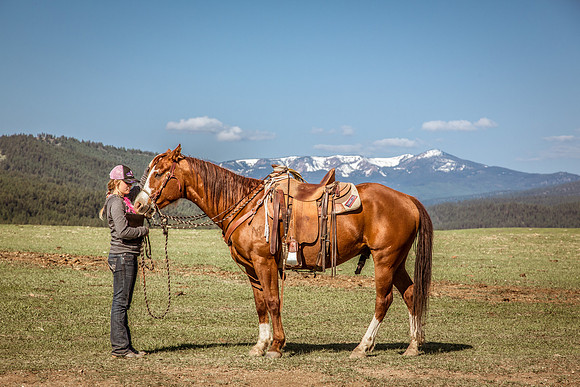 Greenough, MT 2015-05-09-7374