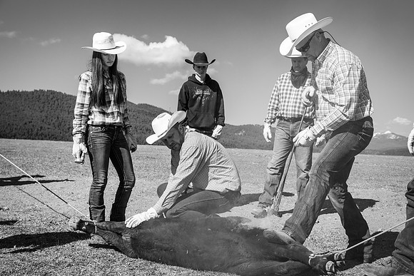 JDSA-2015-05-09-7468