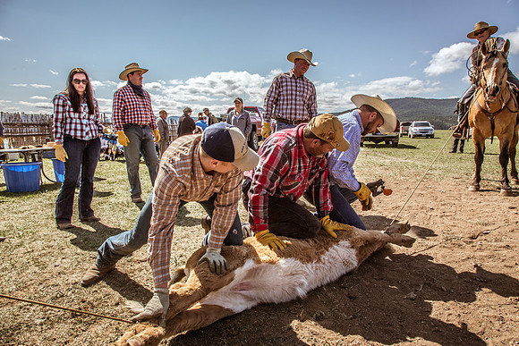 JDSA-2015-05-09-7570
