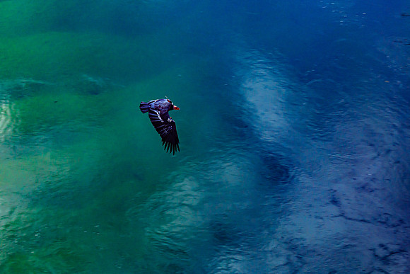 November 01, 202020201101-_U7A6978