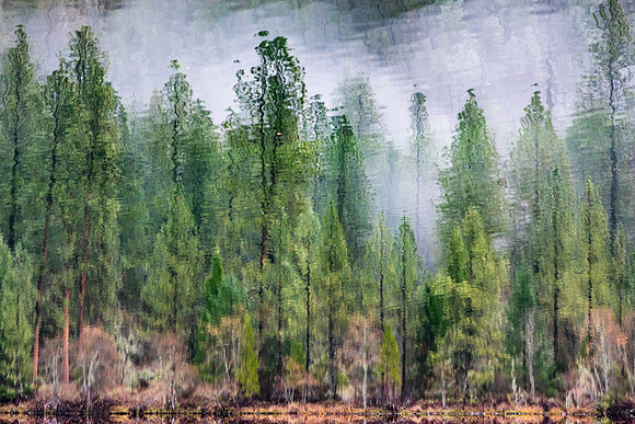 _F2A3168
