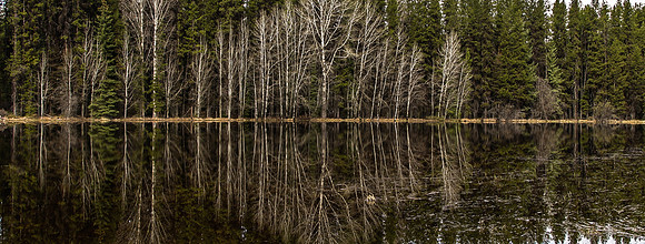 Rorschach Mystic Pond-7099
