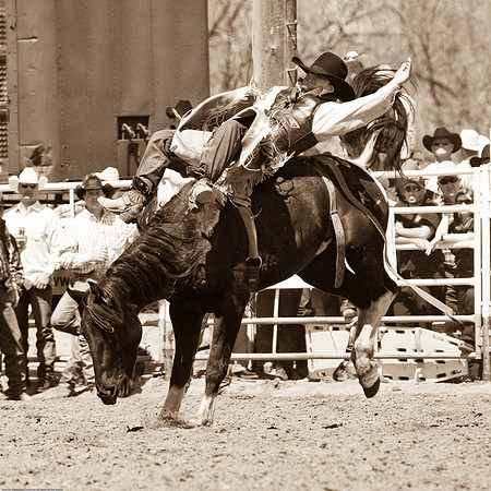 miles_city-2125-316