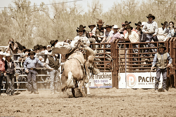 miles_city-2038-257