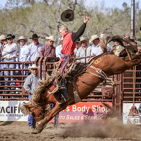 Miles City-1156-1