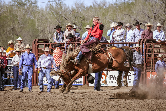 Miles City-1158-1
