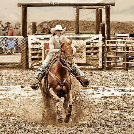 2008HLDR She Can Ride