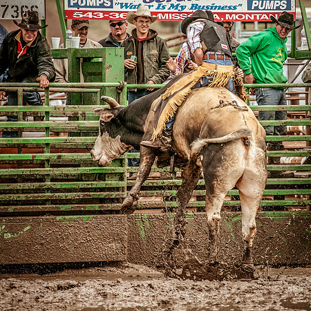 _2008HLDRMG_3300