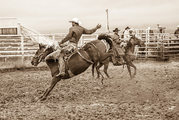 2008HLDR_MG_2744