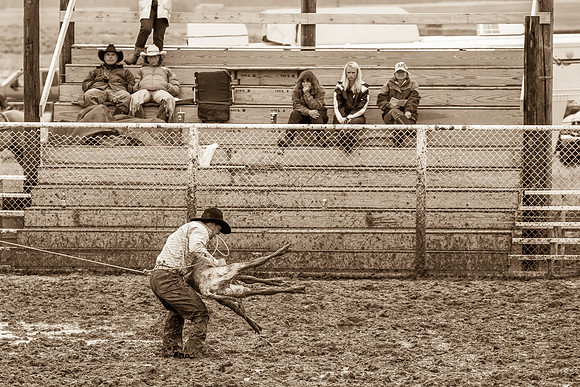 2008HLDR_MG_2831