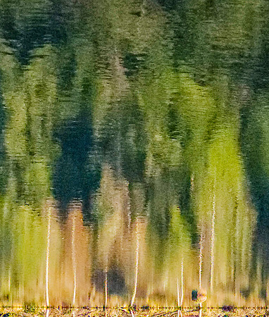 20260112_154626