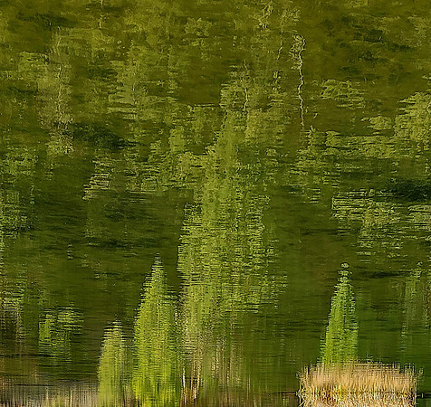 20260129_143930