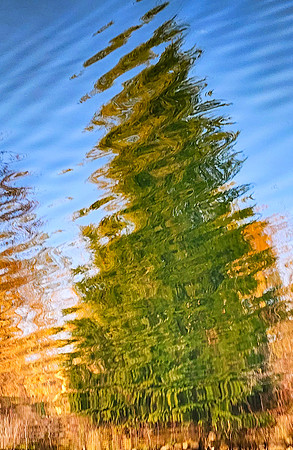 20260129_164517
