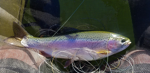 20210614_075928
