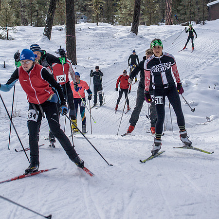 OSCR 2013-7393