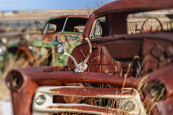 Montana Hood Ornament Winnett, MT -3