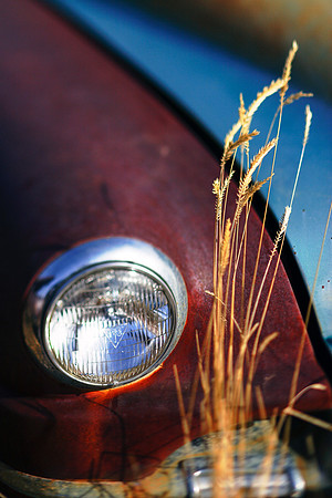 Desoto's Dream-18