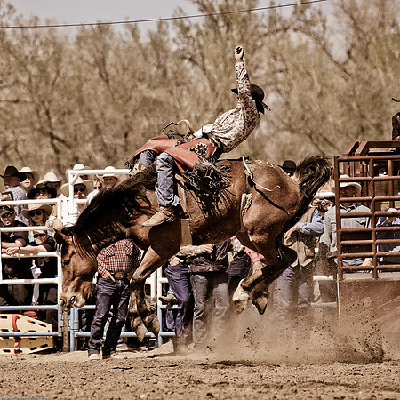 miles_city-2228-290