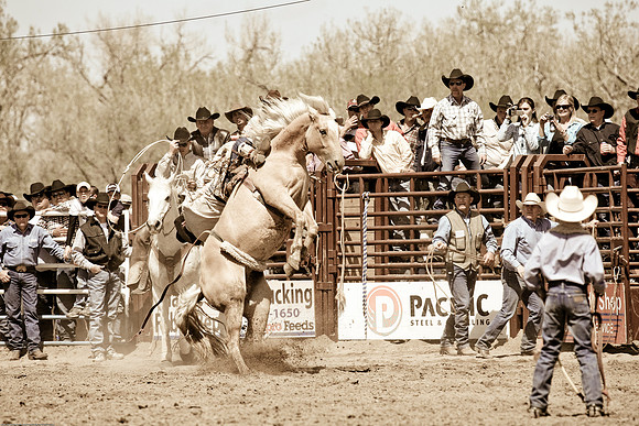 miles_city-2035-254