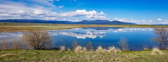 20220522_100306-Pano