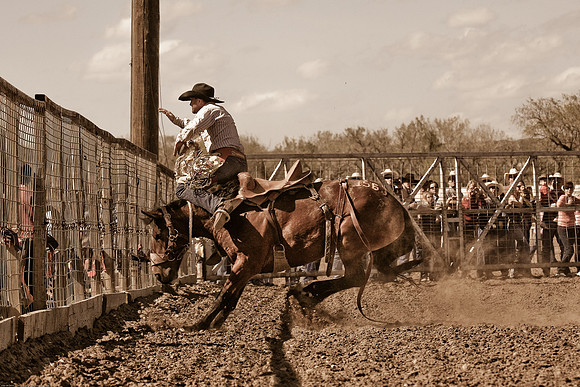 miles_city-2520-486