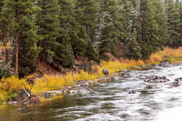 Blackfoot River-6102