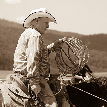 calf_branding_720