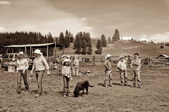 calf_branding_2_643
