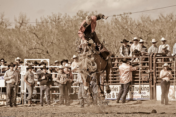 miles_city-1162-531