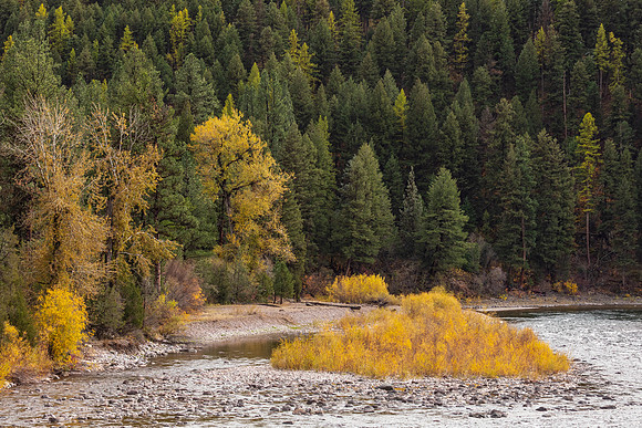 Blackfoot River-6214