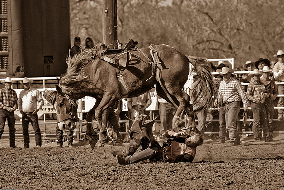 miles_city-1167-536